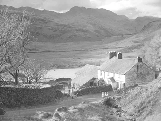 Farm with woman and dogs watching ducks and farm buildings behind