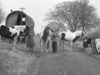 Hooped van on verge of road with gypsies and horses