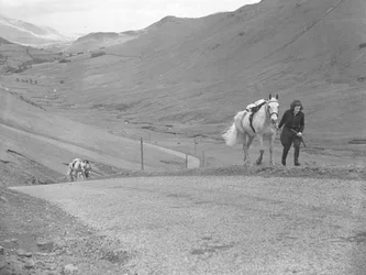 Horses being led up mountain pass by riders who have dismounted