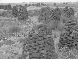 Stacks of Peat