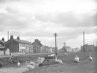 Street at Allonby with swans and stream