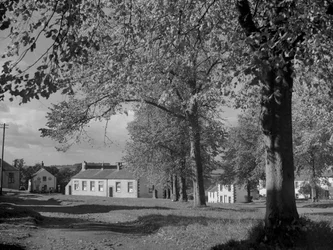 Trees in leaf and view of village buildings