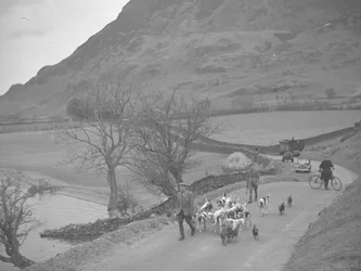 Two men walking with hounds in a lane, man with a bike and machinery, haystack and lake to the left, hills in background