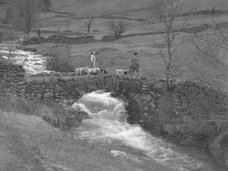 Two women and a man walk over a bridge with hounds at their feet