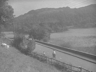 View of a Road Running Alongside Rydal Water, Includes People on Bikes, Cattle and Fells