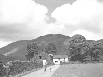 Woman and dog walking down track to Dalehead Farm