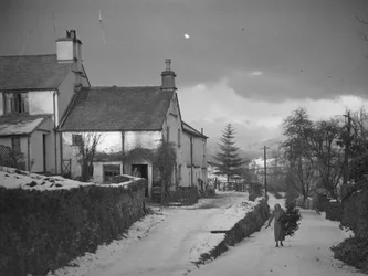 Woman carrying branch on road next to Borwick Fold Farm in Hawkshead in snow