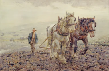 Harrowing on the South Downs Near Willmington, Sussex