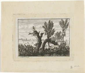 Landscape with Pollard Willows