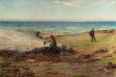 Kelp Burning