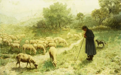Shepherd