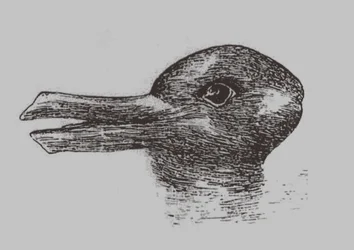 Duck-Rabbit illusion. From: Jastrow, J. The mind