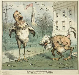 Kik-kik-cock-a-doodle doo! Mr. Kelly, how are YOU?, from Puck