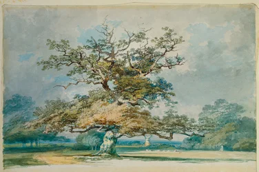A Landscape with an Old Oak Tree