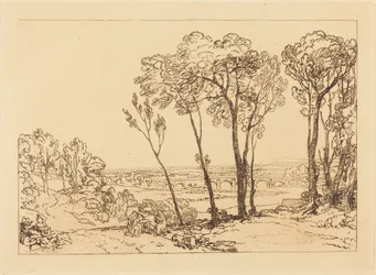 The Bridge in Middle Distance