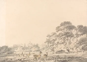 Windsor Castle and Park with Deer