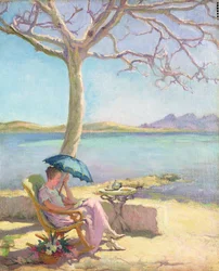 Midday Sun