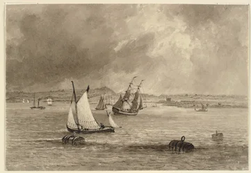 Ships off the coast