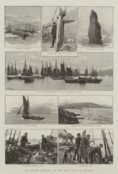 The Fishing Industry on the West Coast of Ireland