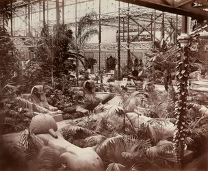 The Crystal Palace in London: the tropical section, c.1870