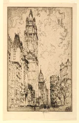 The Woolworth Building