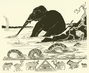 The Elephant