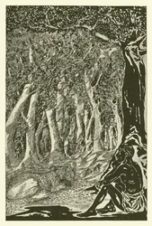 The Leopard and the Ethiopian