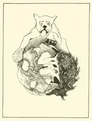 Whole Story of the Jaguar and the Hedgehog and the Tortoise and the Armadillo All in a Heap