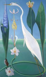 The White Heron