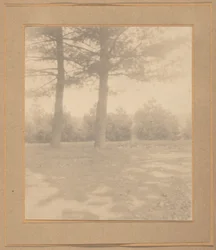 Landscape with Trees
