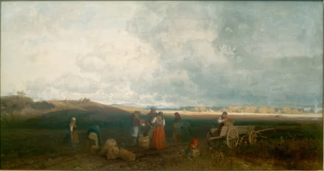 Potato Harvest in Chiemgau