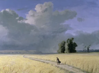Cornfield near Calais