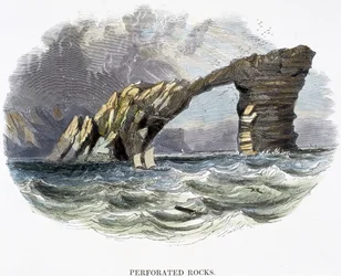 Perforated Rocks, from Phenomena of Nature