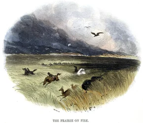 Prairie on Fire, from Phenomena of Nature