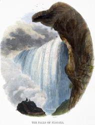 The Falls of Niagara, from Phenomena of Nature