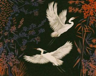 Elegant Egrets Flight