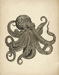 Elegant Vintage Octopus