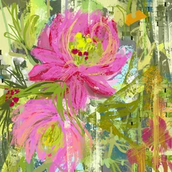 Vibrant Pink Blooms