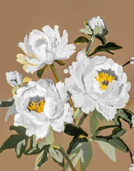 White Peony Blossoms