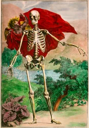 The Skeleton and Love