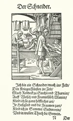 The Tailor