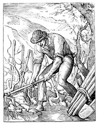 The Winegrower