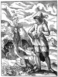 Miner