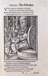 Oil Maker, illustration from the Latin edition of 
