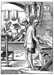 Tailor