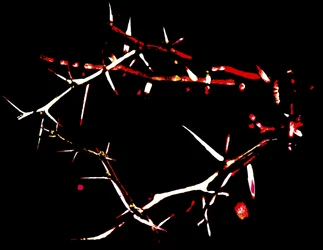 Crown of Thorns