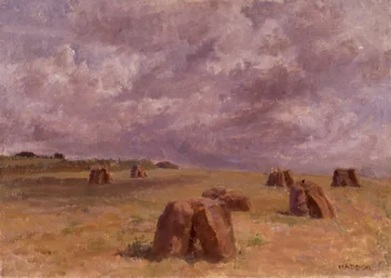 Plain Rocks
