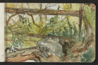 Forest in Pontresina