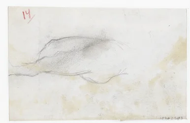 Sketch of a Landscape