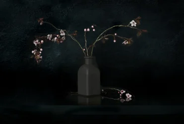 Cherry Blossom Still Life
